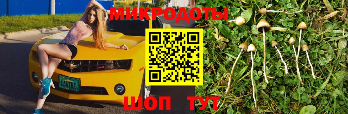Псилоцибиновые грибы прущие грибы Мурманск