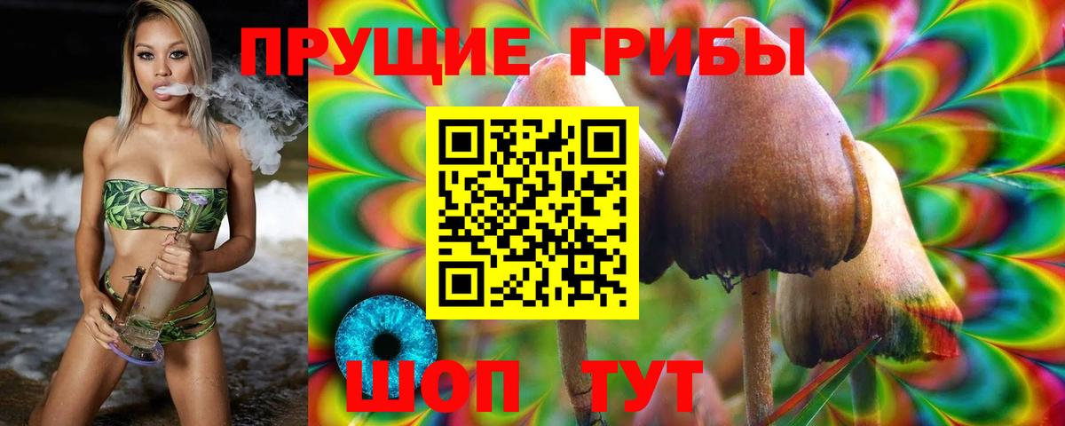 Галлюциногенные грибы GOLDEN TEACHER  Вход с VPN  Мурманск 